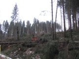 Nach Orkan Friederike - Uslarer Strasse (1)